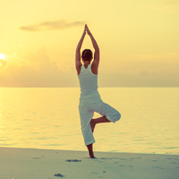 chiropractic wellness